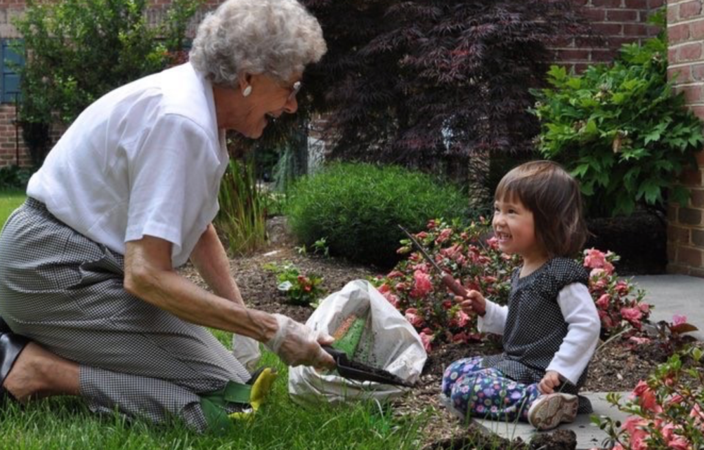 Dementia patient and toddler gardening together. 